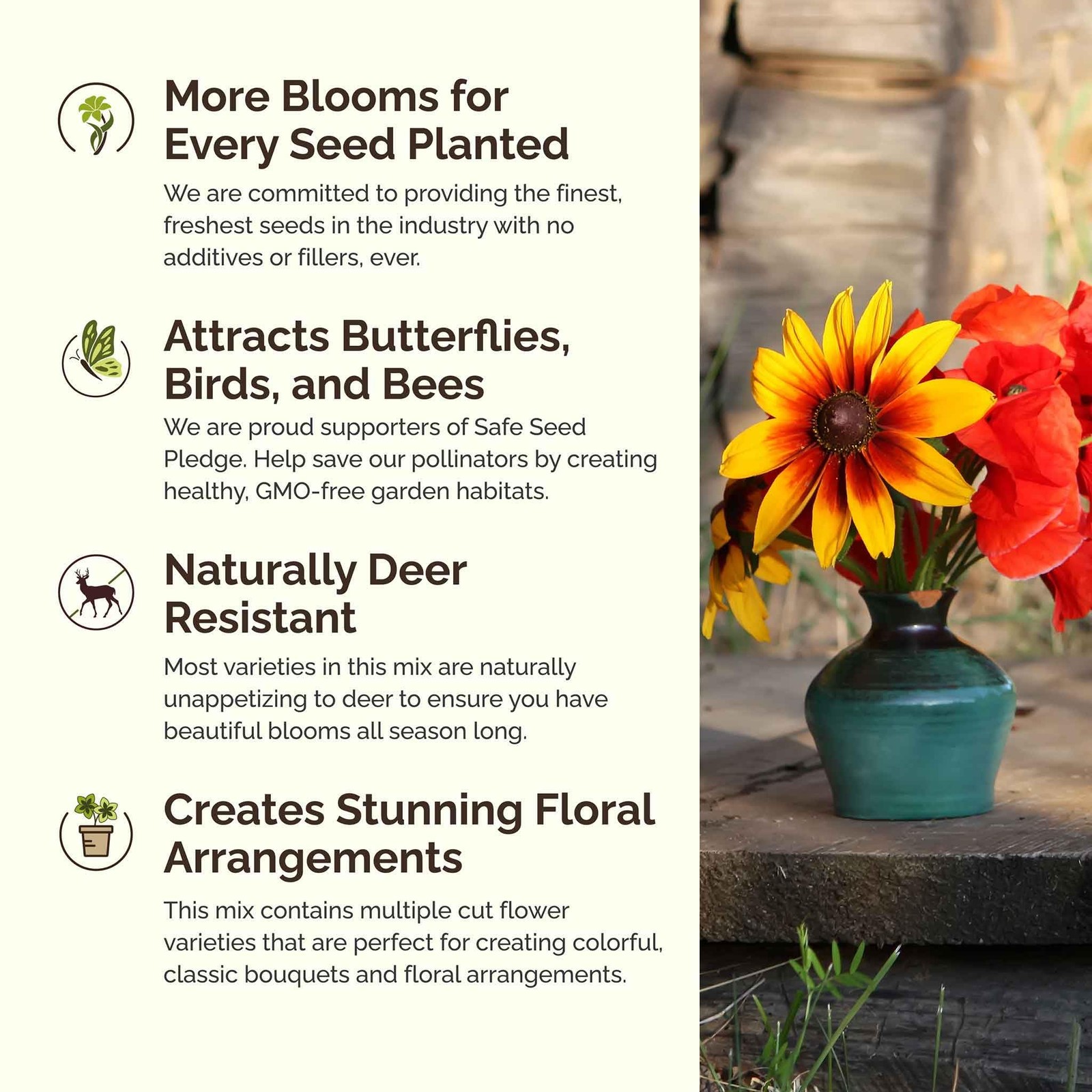 Southeast Wildflower Seed Mix, 1 lb, Attracts Pollinators, Zones 310