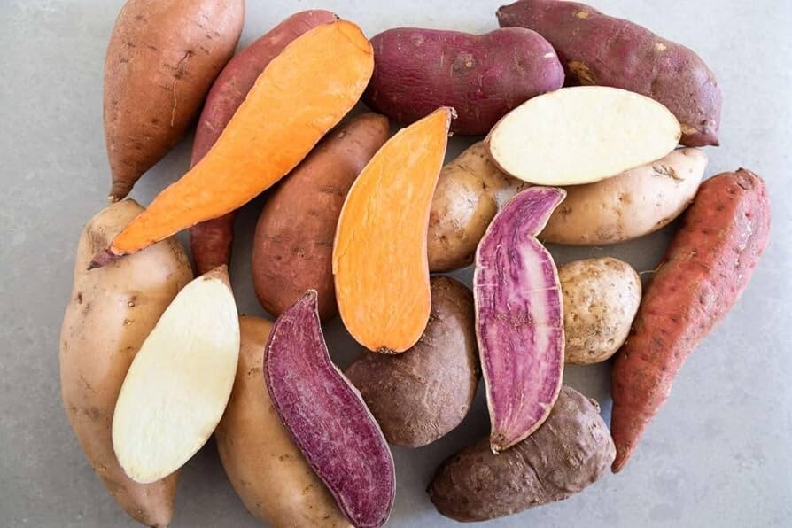 Sweet Potato Lover’s Mix – 10 Sweet Potato Slips Plants -Non GMO & Chemical Free