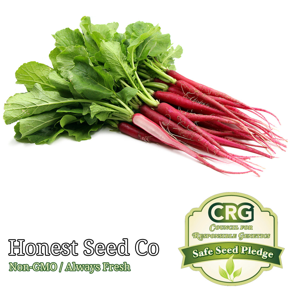 300+ Long Red Radish Seeds | Non-GMO Heirloom Vegetable Garden Seeds from USA