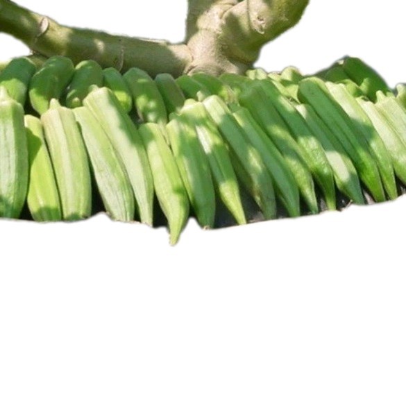 Okra Variety Seeds Heavy Hitter And Clemson Spineless 20 Total