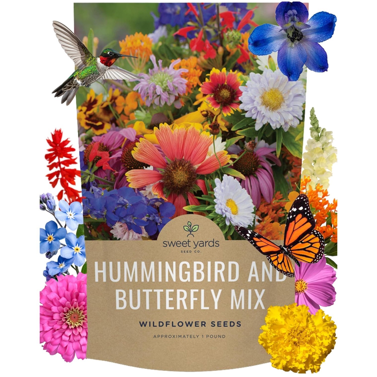 Bulk Butterfly Hummingbird Wildflower Seeds – 1lb