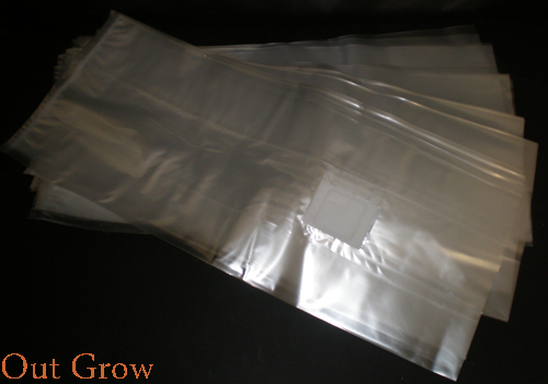 Medium Mushroom Grow Bags for MushroomSubstrate 10 mycobags per sale