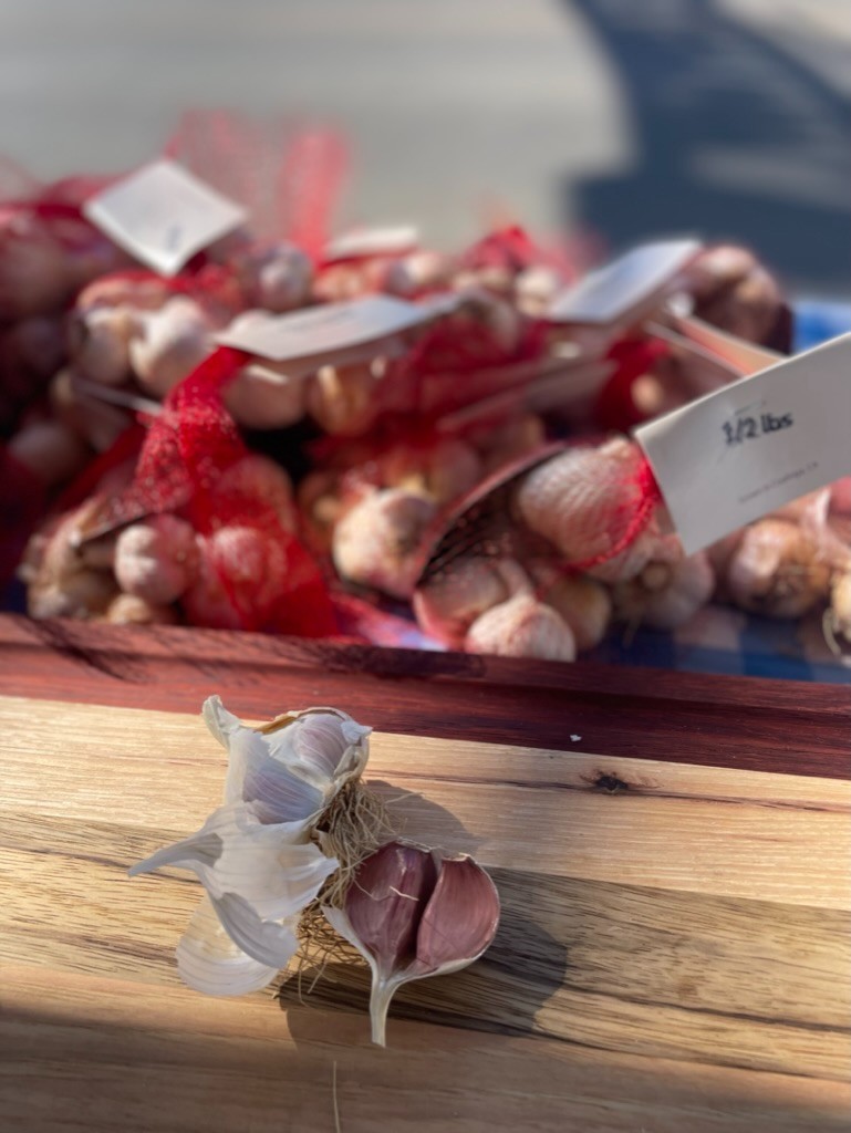 USDA Organic Romanian Red Garlic Bulbs | Spicy Gourmet Garlic | California Grown