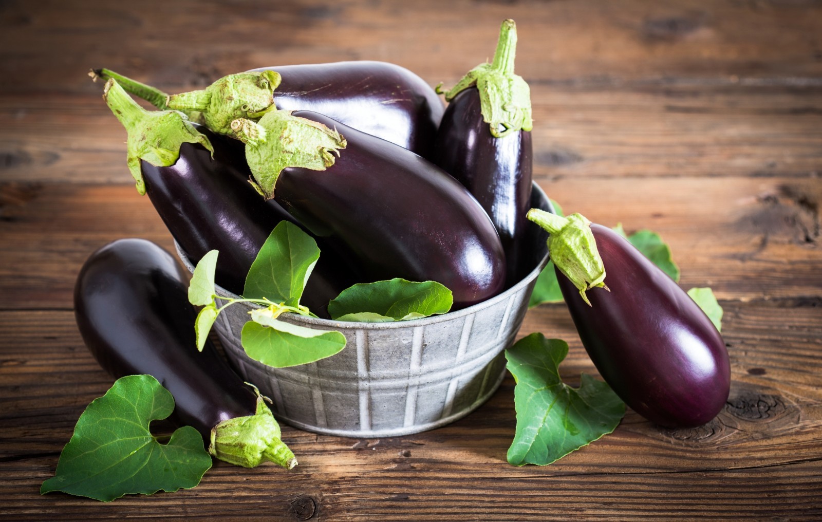 Black Beauty Eggplant Seeds