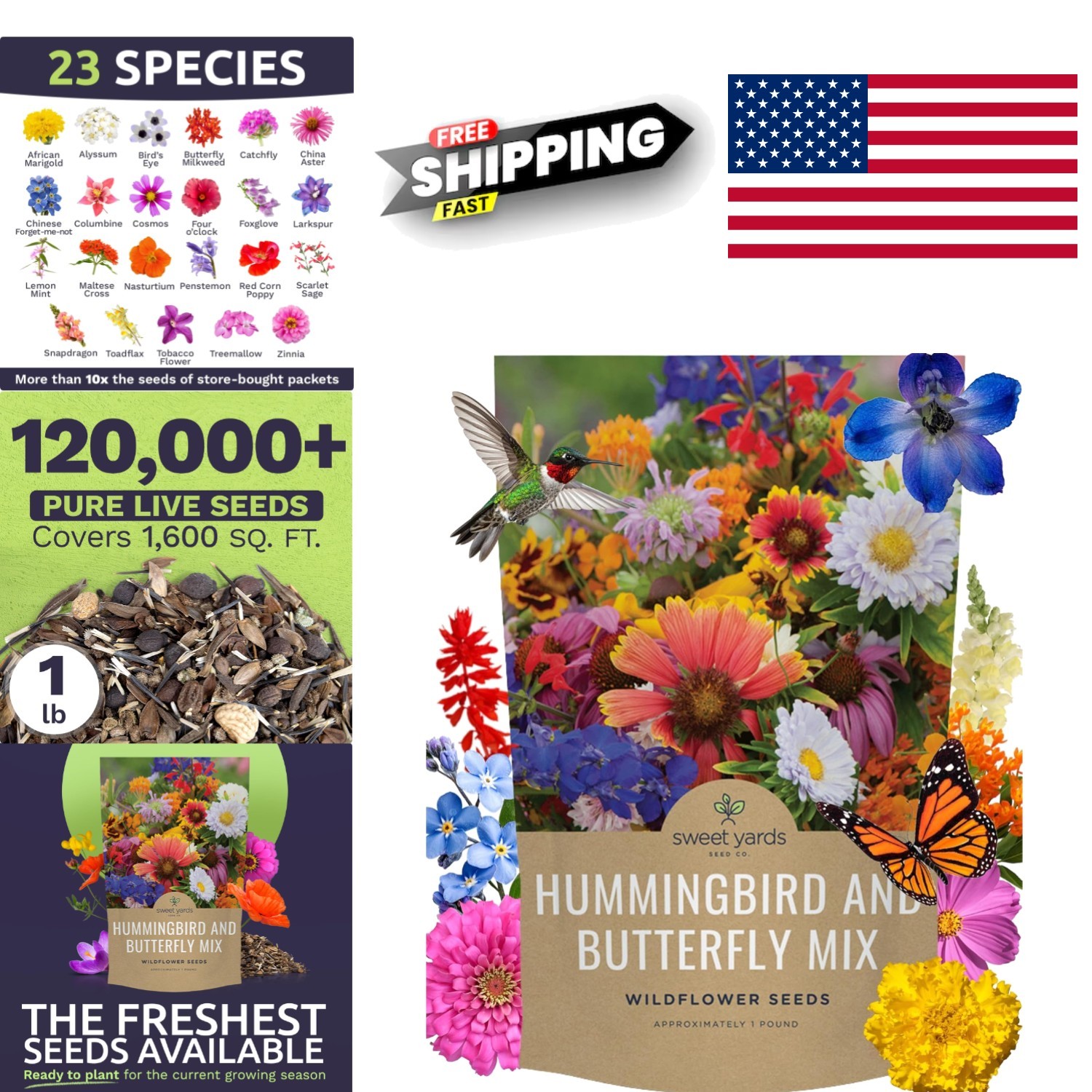 Bulk 1 Pound Wildflower Seeds Mix for Attracting Butterflies and Hummingbirds