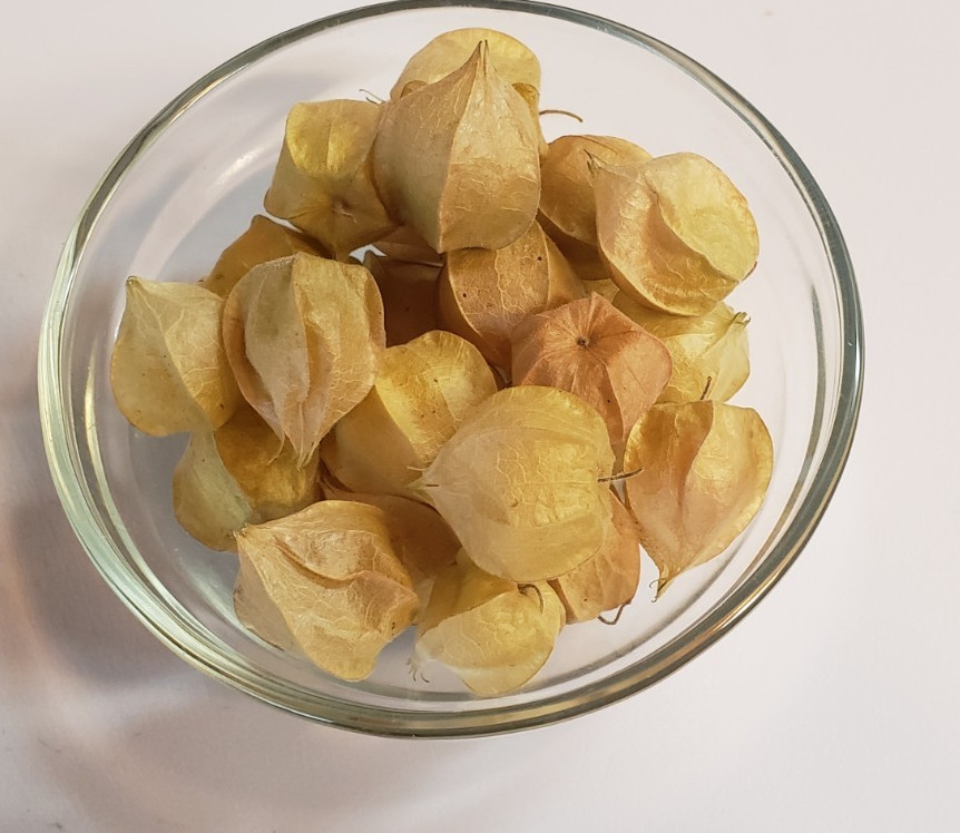 Pineapple Ground Cherry (100+ Seeds) – unique and versatile!