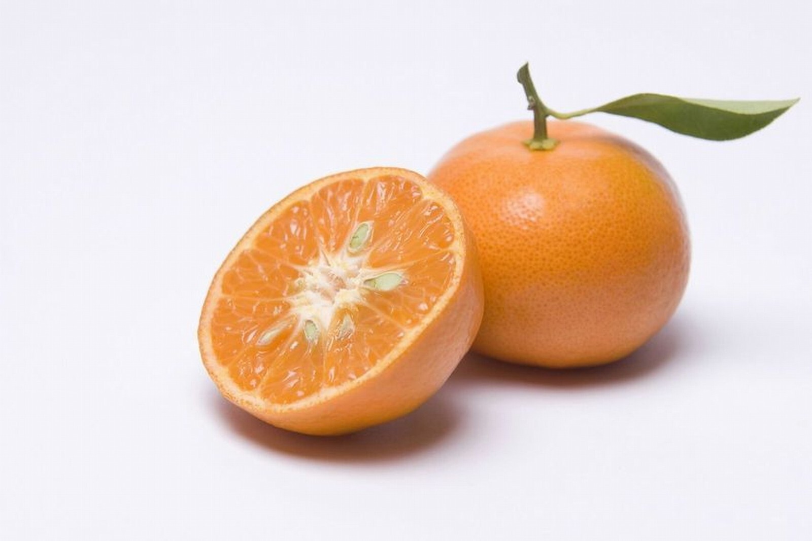Dancy Semi-Dwarf Tangerine Tree: Grafted