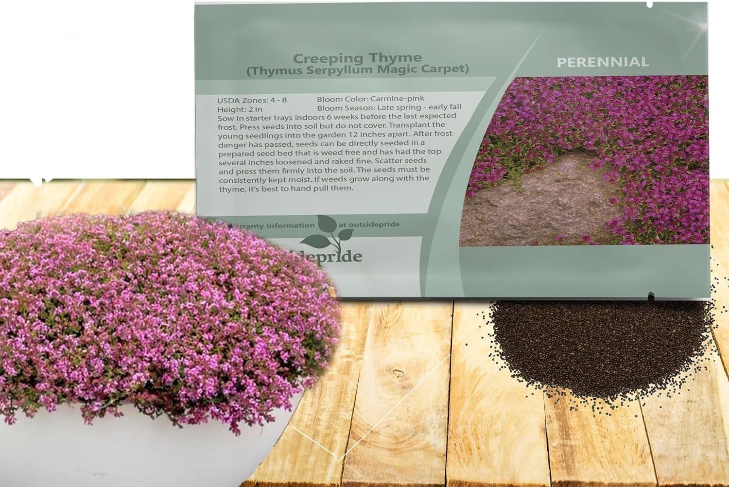 Magic Carpet Creeping Thyme Seeds – 500 PCS, Pink Flowers for Pollinator Gardens