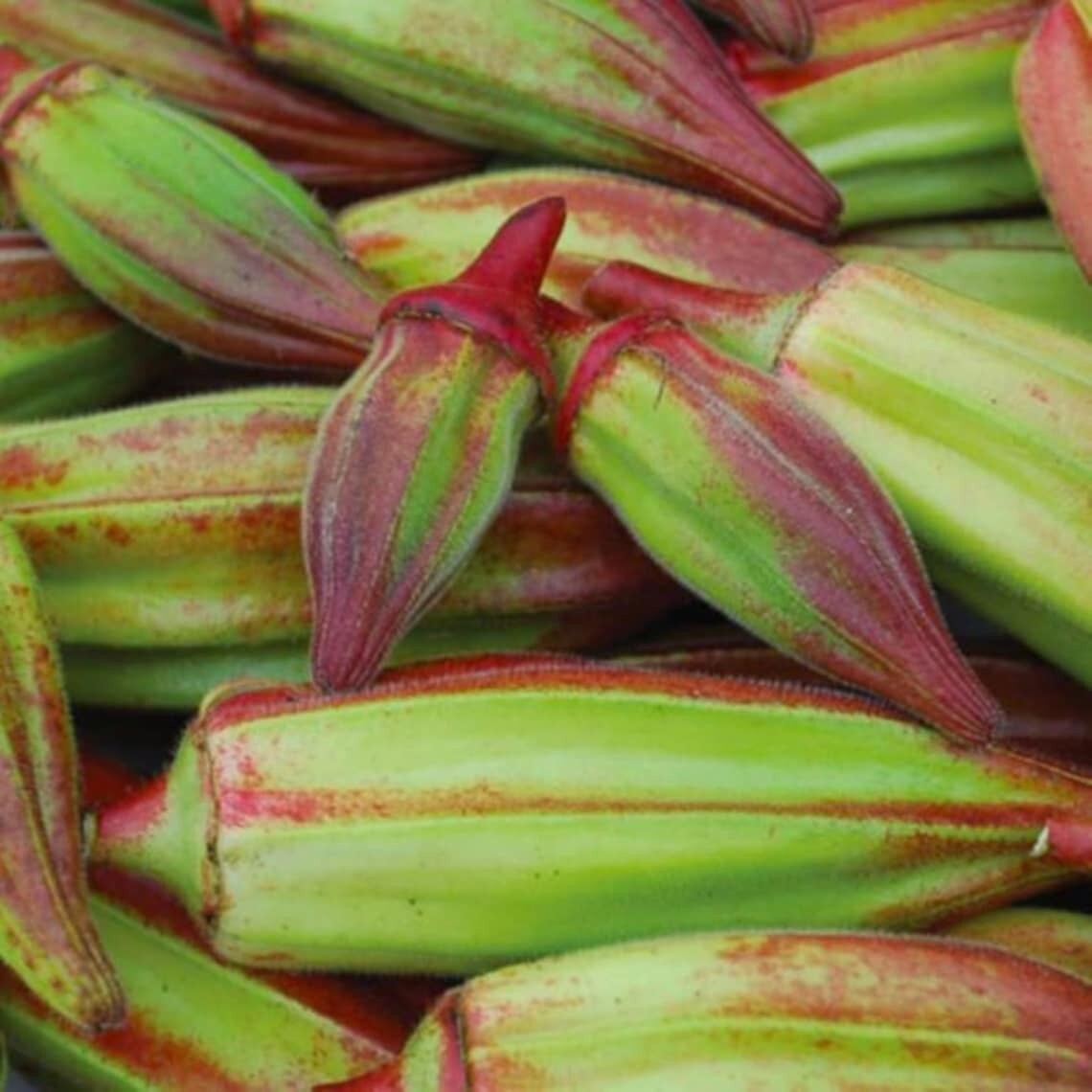 Hill Country Red Okra Seeds NON-GMO Heirloom Open Pollinated Easy to Grow! YUM!