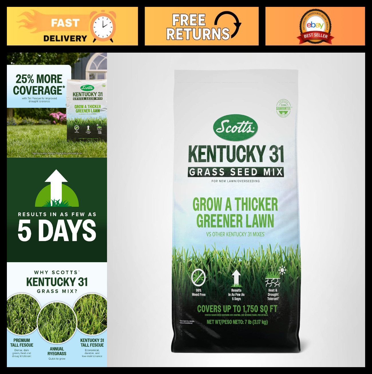 Kentucky 31 Grass Seed Mix for New Lawns, Overseeding, Thick & Green Growth, Cov