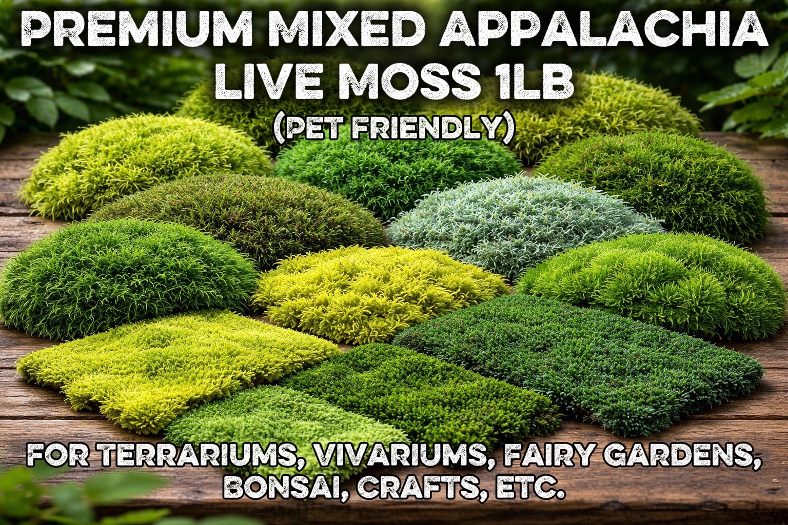 Live Sheet Moss Assortment 80oz – Terrarium, Vivarium, Fairy Gardens, Bonsai.