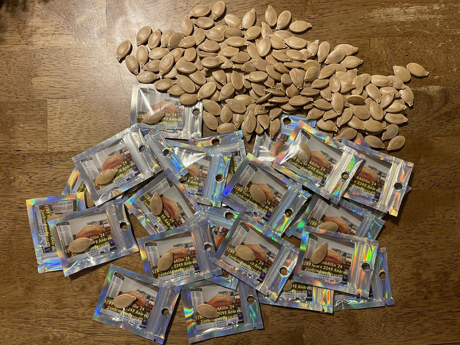 Atlantic Giant Pumpkin Seeds 1951 McMillin’24 (1783 New X 2245 Andrusz)$50