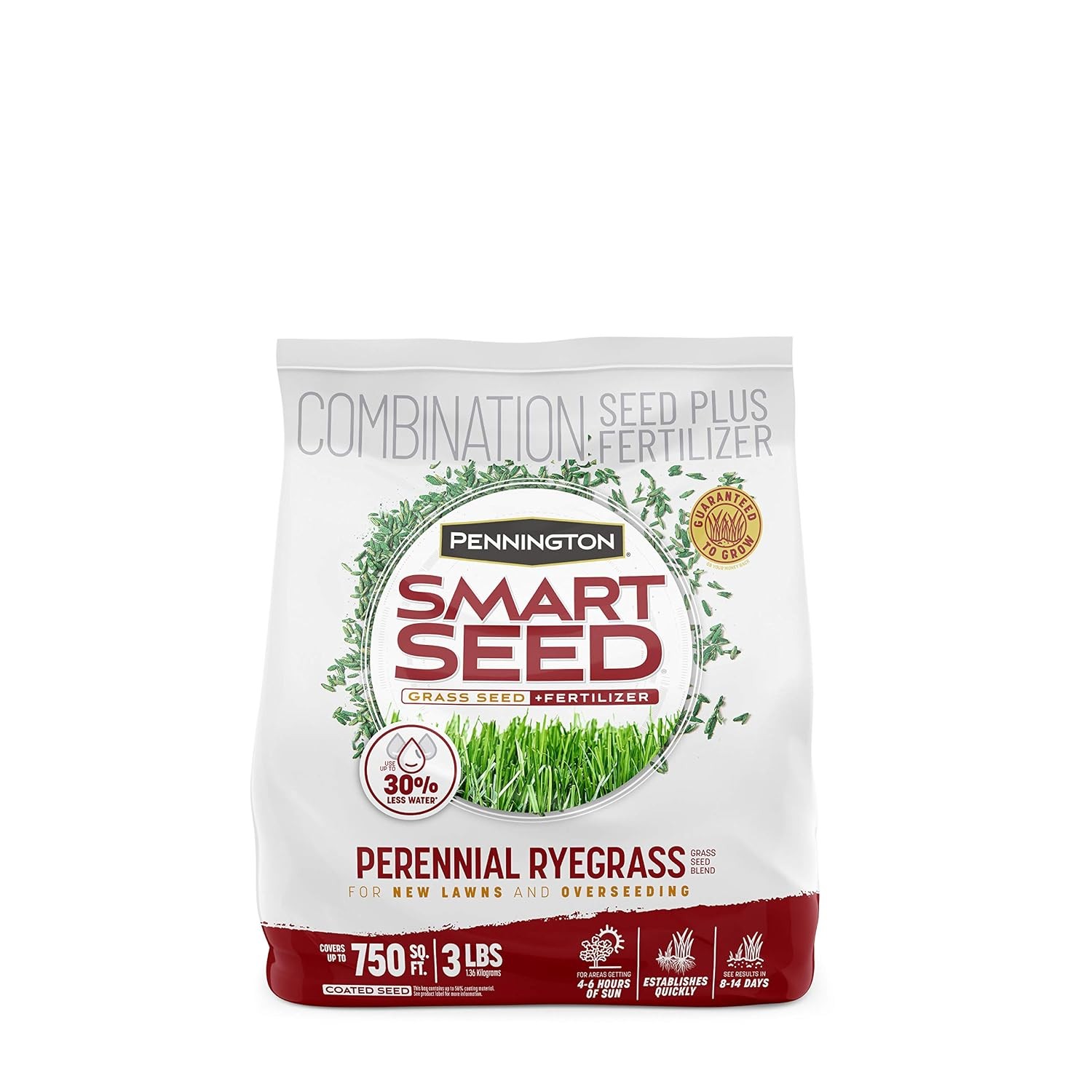 Pennington Smart Seed Perennial Rye 3 Lb Perennial Ryegrass Grass Seed Lawn