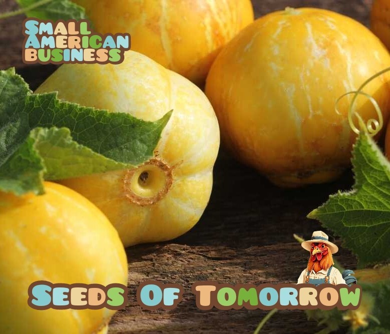 50 Organic Non-GMO Lemon Cucumber Seeds- Seeds Of Tomorrow
