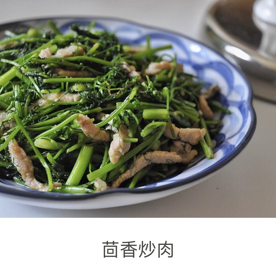 300+Fennel Seeds Herb 300多粒割茬小茴香种子. 2023年新种子
