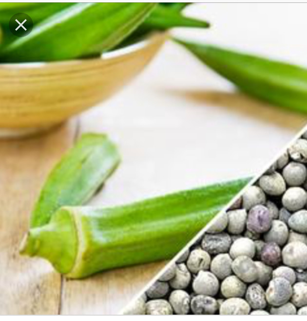 TEXAS LONGHORN OKRA SEEDS Dau bap 50+ or 100+ you picked
