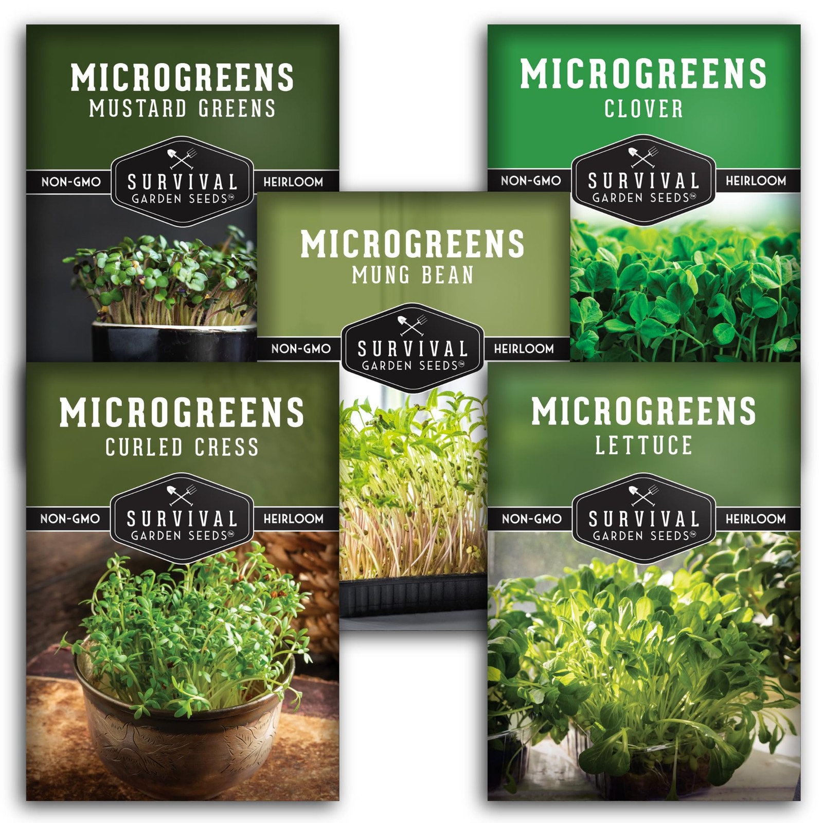 5Variety Microgreens Seed Pack – Mustard, Mung Bean, Cress, Clover, Lettuce