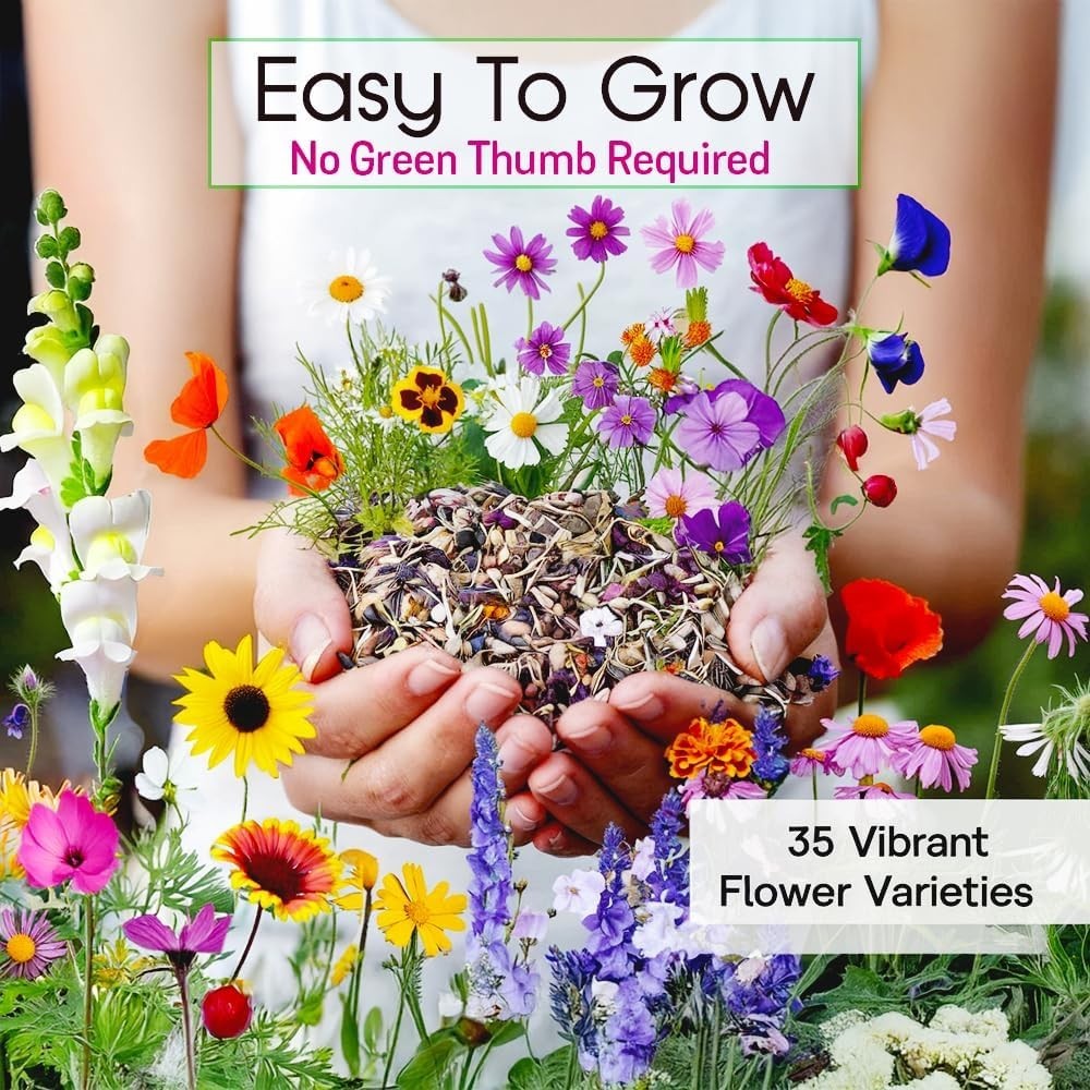 Annual & Perennial Flower Seed Variety Pack