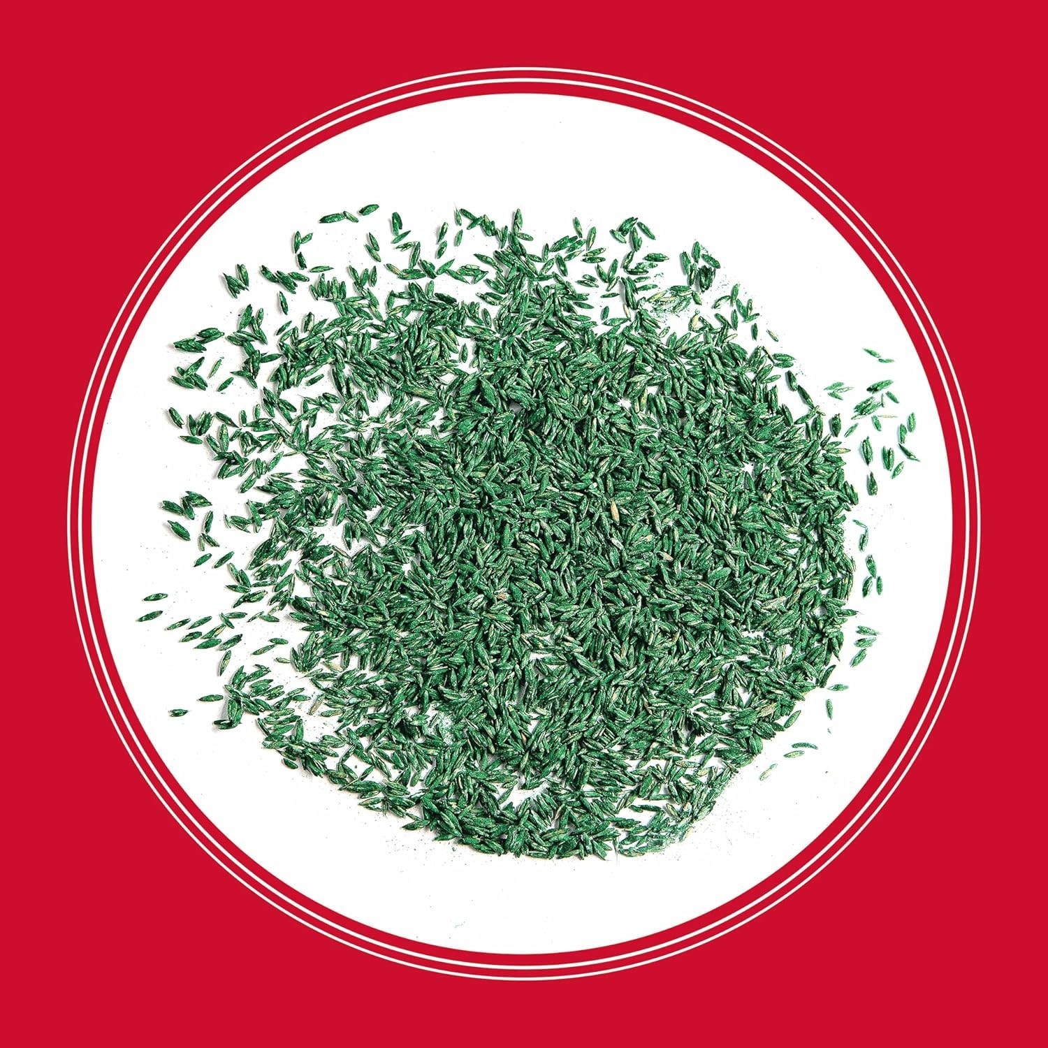 The Rebels Tall Fescue Grass Seed 3 lb – Dense, Dark Green Lawn Solution