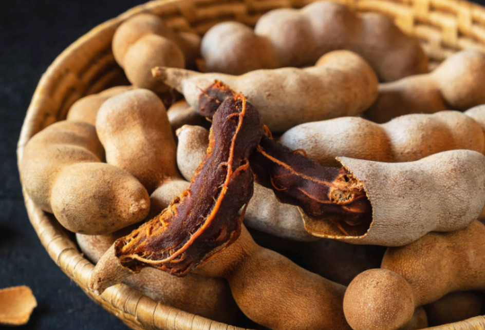 Tamarind Plant – 3-5″Tall – 4″Pot – Tropical Fruit Tree for Gardens – Zones 9–11