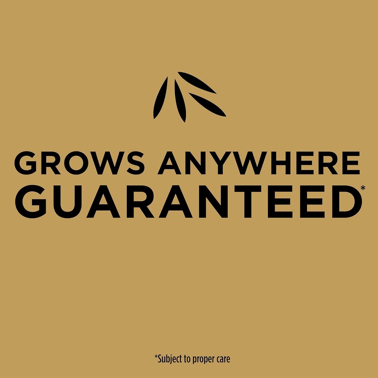 Easy Care EZ Seed Lawn Repair: Sun & Shade Grass Covers 85 sq. ft. Effortlessly