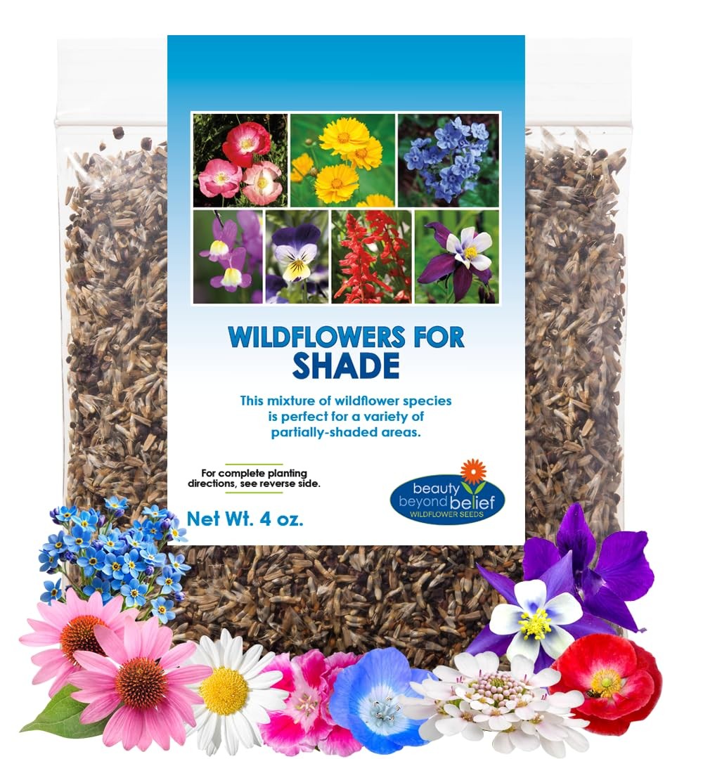 Partial Shade Wildflower Seeds Mix 4oz OpenPollinated Annual & Perennial