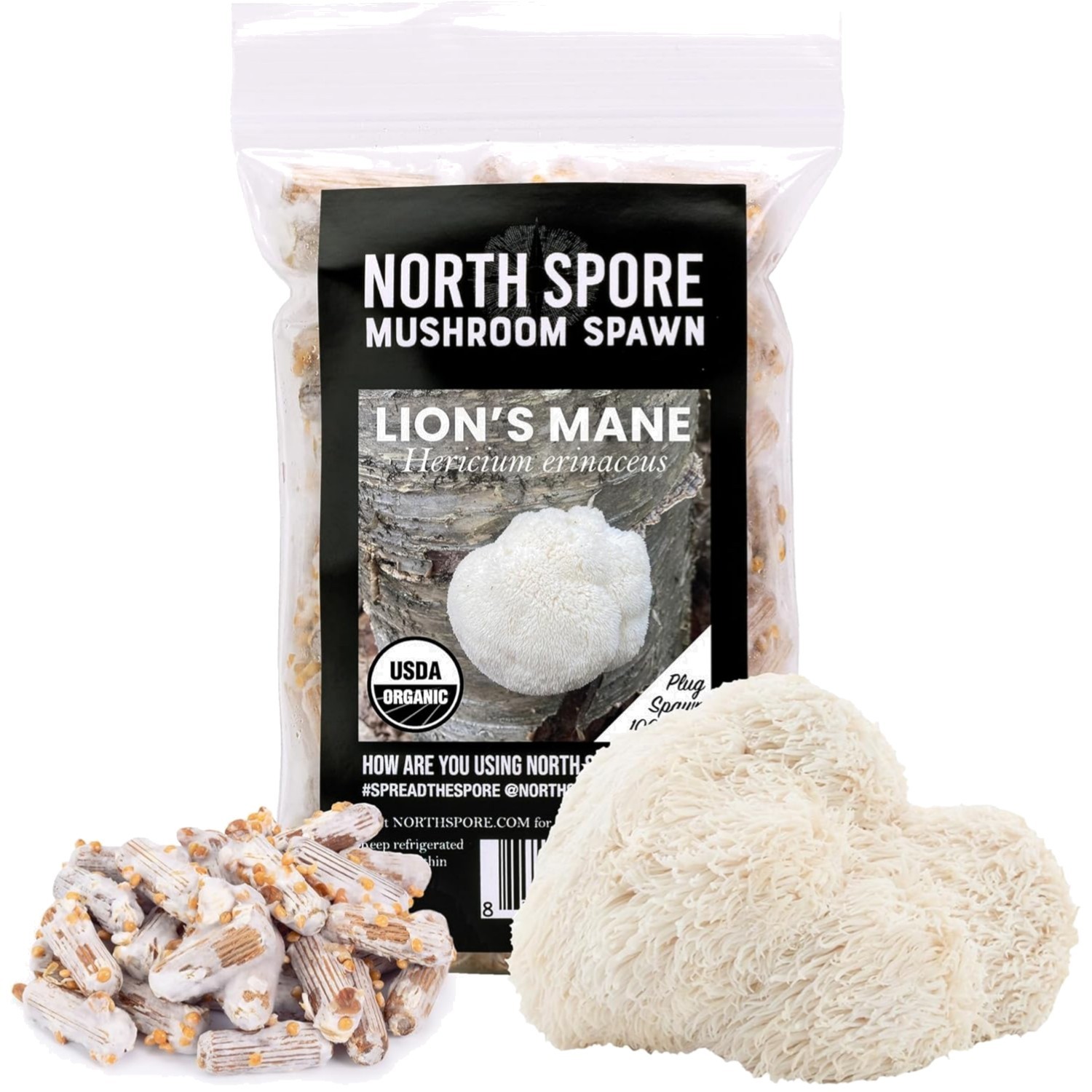 Pet-Friendly 100 ct Organic Lion’s Mane Mushroom Plugs for Easy Log Cultivation
