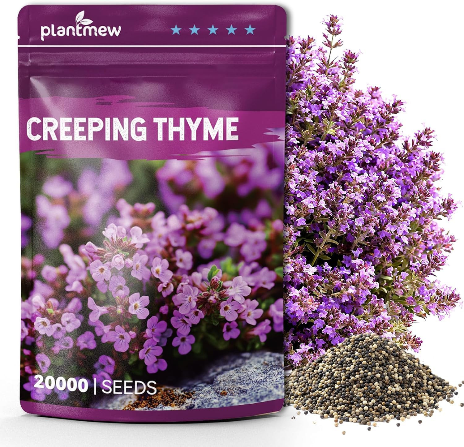 20000+ Creeping Thyme Seeds (Thymus Serpyllum), Ground Cover Seeds