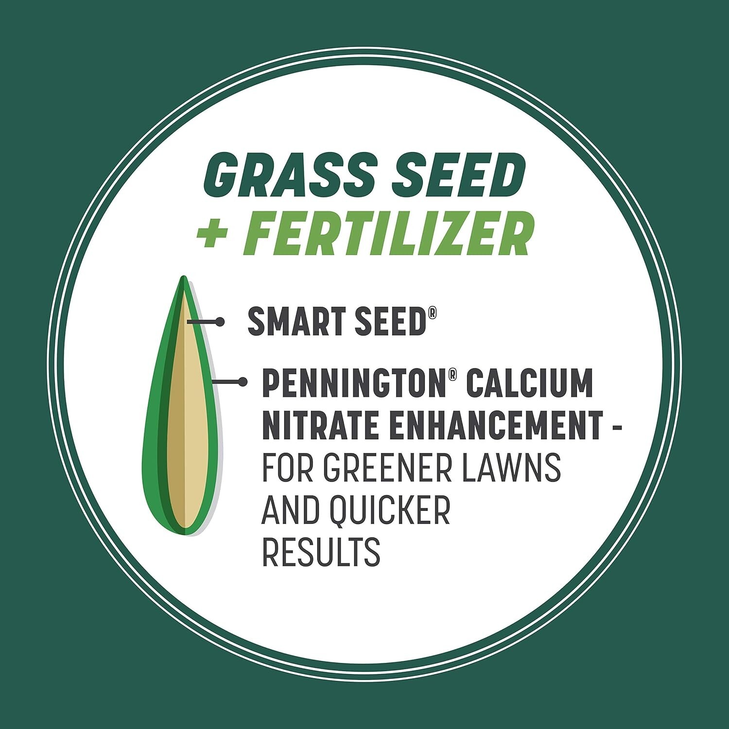 Semillas de césped festuca alta para sol y sombra Pennington Smart Seed