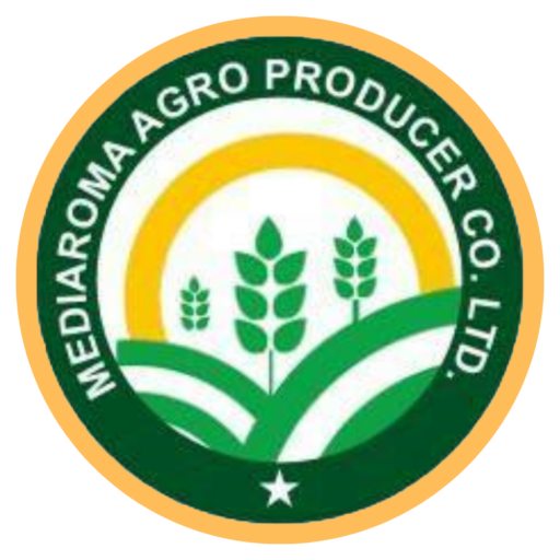 About site icon mediaroma agro
